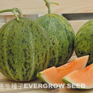 特色甜瓜