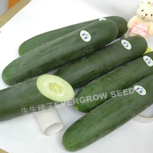 胡瓜 7405 夏福