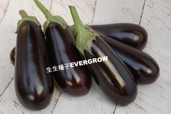 茄子 6287 勝利