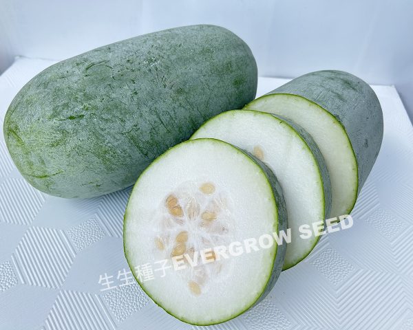 冬瓜 13464 珍福