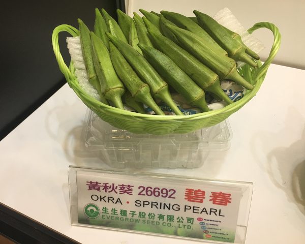 黃秋葵 26692 碧春：圖片 2
