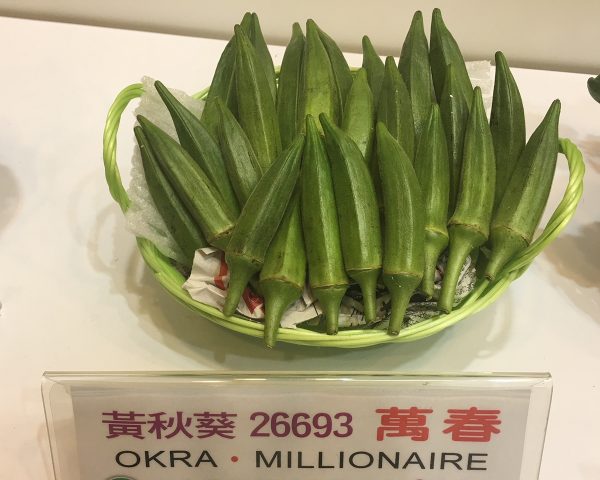 黃秋葵 26693 萬春：圖片 3