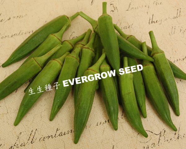 黃秋葵 26693 萬春：圖片 4