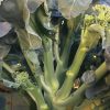 芥蘭花菜 28001 富悅：圖片 3